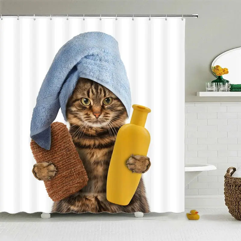 Rideau de douche, Chat Bain RideauxDeDouche.com